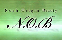 Noah Origin Beauty �X�N�[��