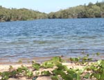 INTA���ۃi�`�������Z���s�[����@�A���}�f�U�C�i�[���莎��