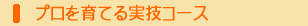�v���{���@���Z�R�[�X