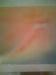 INTA�@�����N�@�A���}�E�q�[�����O�A�[�g�u��